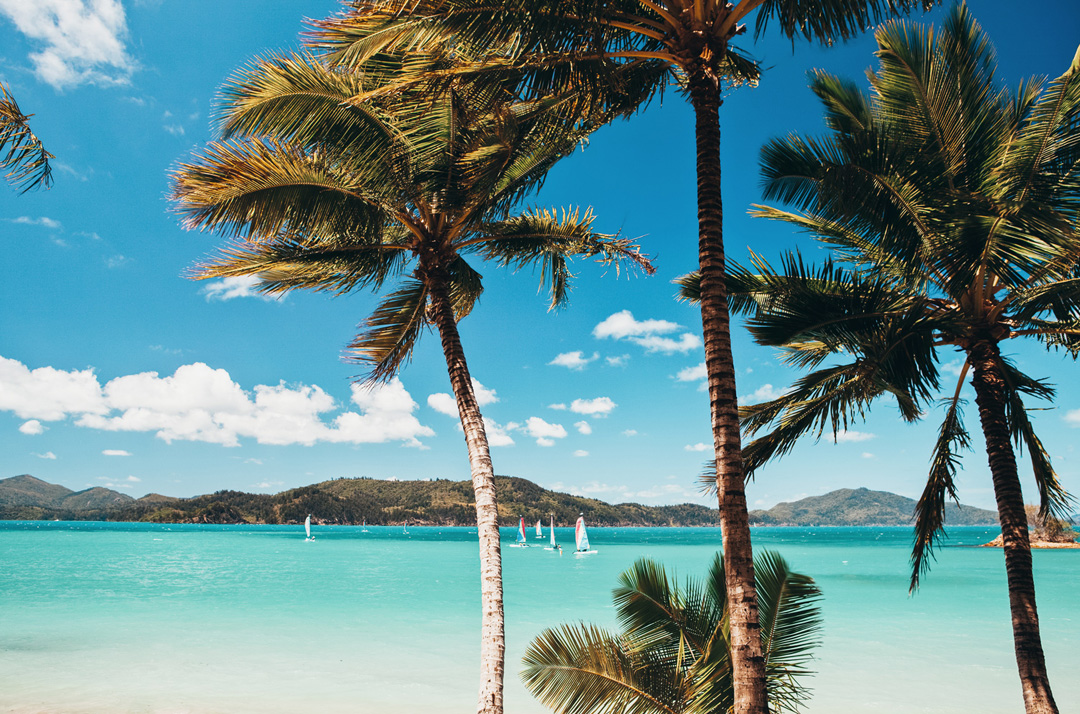 Hamilton Island hillside, jetty and turquoise water
