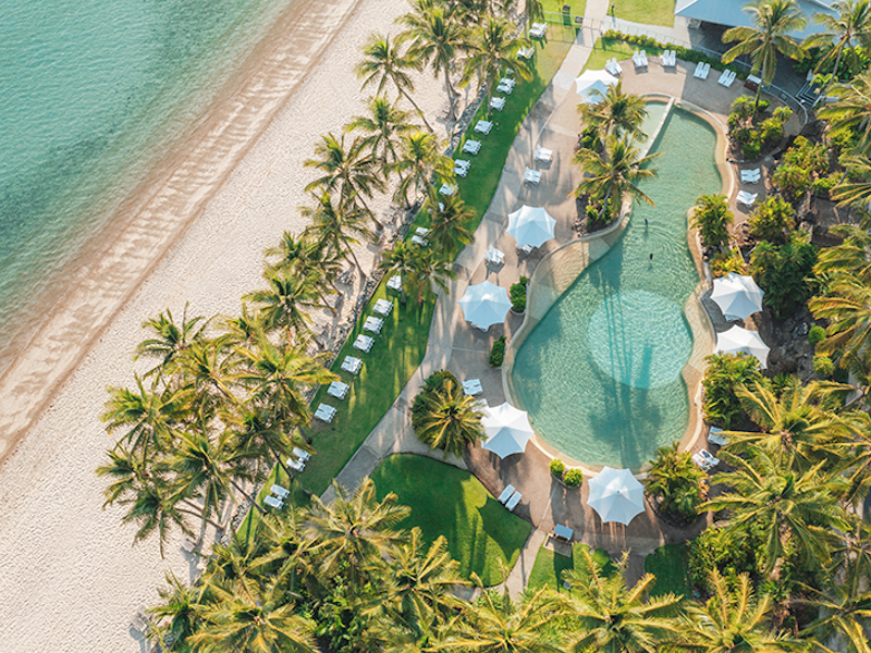 Palm trees in front of the beach at Reef View Hotel